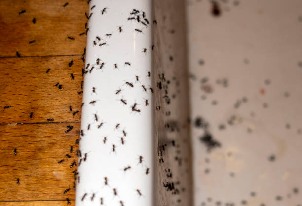 Pest Control Cost in Regency At Monroe, NJ