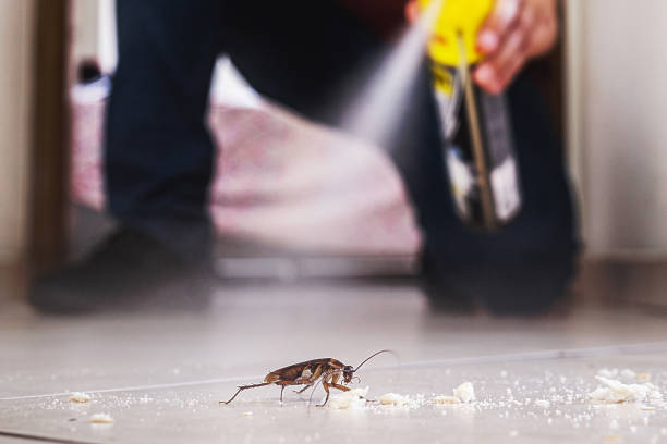 Best Best Pest Control Companies  in Regency At Monroe, NJ