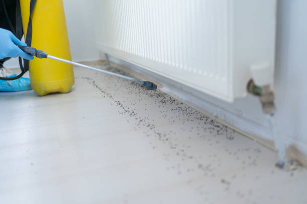 Best Ant Control Services  in Regency At Monroe, NJ