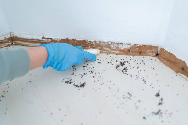 Reliable Regency At Monroe, NJ Pest Control Solutions